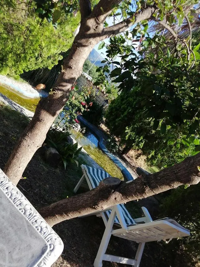 פאטי Casa Vacanze Ileana איטליה